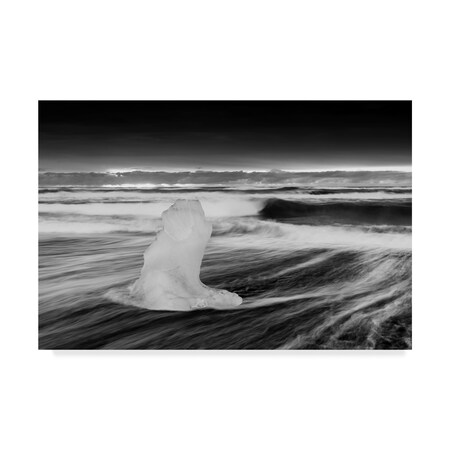 Trademark Fine Art Michael Blanchette Photography 'Ice Sculpture Monochrome' Canvas Art, 12x19 ALI21437-C1219GG